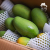 生态椰香芒果 | 合作生产 *Eco-Yexiang mango | Coproduction 商品缩略图9