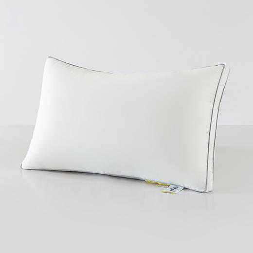 高枕头加厚加高酒店单人枕芯一对整头家用高枕男不塌陷不变形硬枕 商品图2