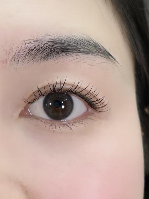 Holydeer旗下 ·H03Gray&H04Brown｜14.2mm白狮参考着色中小直径  日抛 商品图3