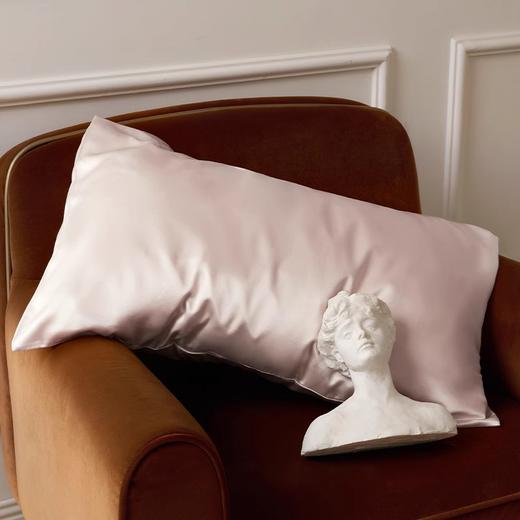 Solo seta22姆米双面真丝枕套玻尿酸桑蚕丝亲肤丝绸信封枕秋冬新 商品图2