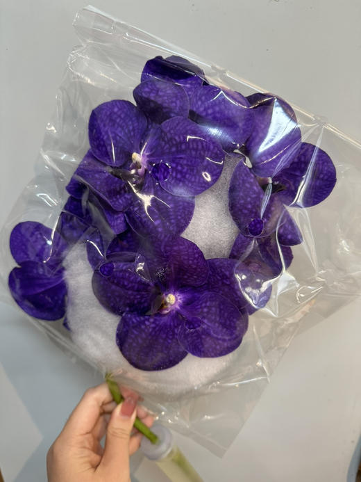 泰国花材-【万代兰】 商品图0