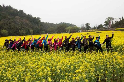 安徽皖南春色：黄山屯溪、昌溪、坡山、石潭、木梨硔、南屏、呈村、卢村、新安江油菜花6天 商品图4