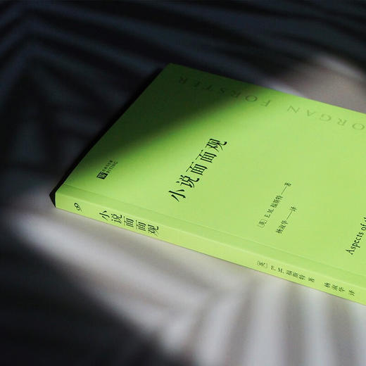 小说面面观 经典写作课 E.M.福斯特 著 文学 商品图1