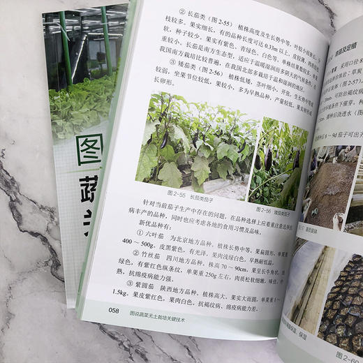 图说蔬菜无土栽培关键技术 商品图7