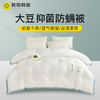 A类大豆纤维被子冬被加厚保暖棉被芯单人宿舍学生德绒春秋空调被 商品缩略图0
