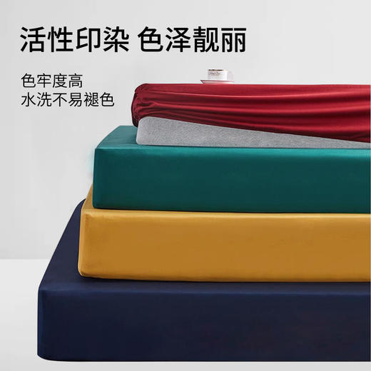 全棉床笠单件四季通用纯棉床罩单件席梦思床盖保护垫床垫保护套 商品图3