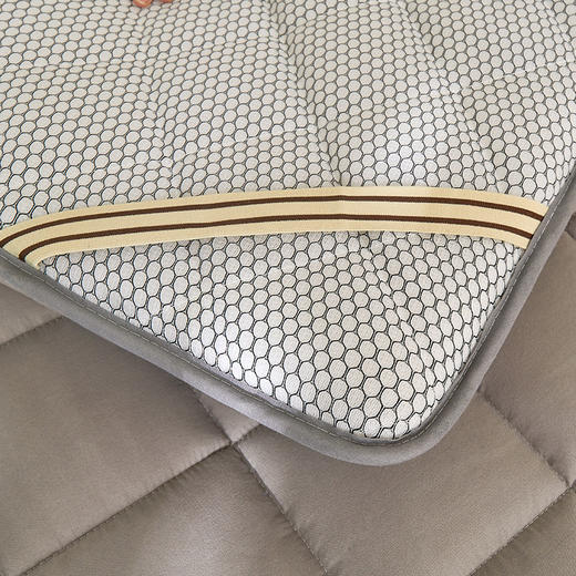 床垫软垫榻榻米垫子大学生宿舍单人褥子海绵垫睡垫垫被90x190床垫 商品图4