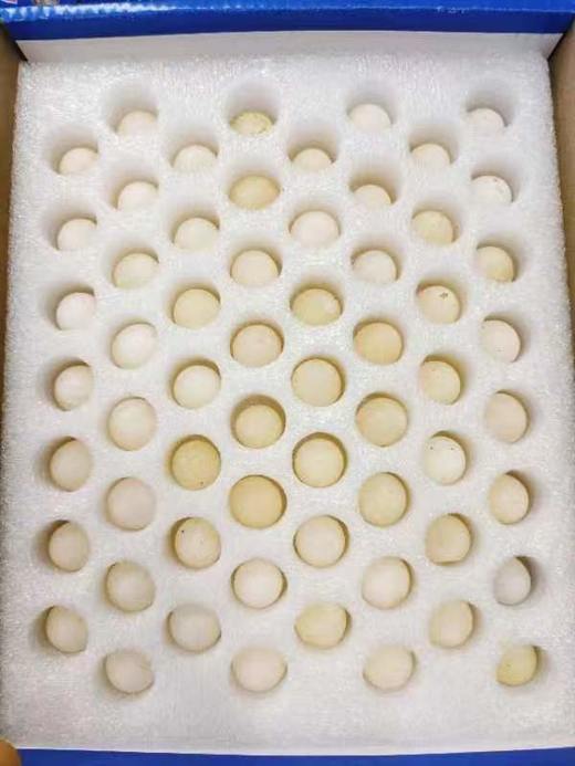 甲鱼蛋一箱 商品图1