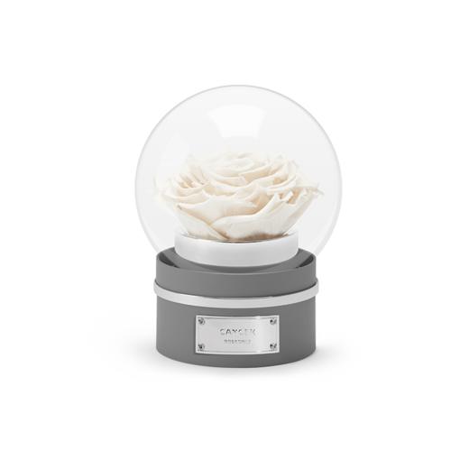 【音乐圆罩】ROSEONLY诺誓 永生玫瑰-音乐系列 悦慕马 十二星座音乐球玫瑰公仔 甜心兔熊猫公仔音乐球礼盒 送女友节日礼物 商品图7