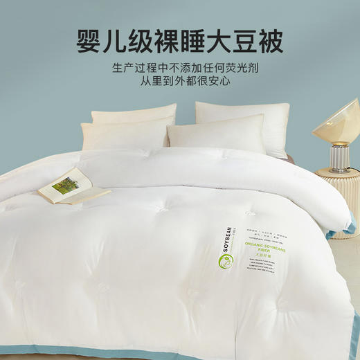 A类大豆纤维被子冬被加厚保暖棉被芯单人宿舍学生德绒春秋空调被 商品图1