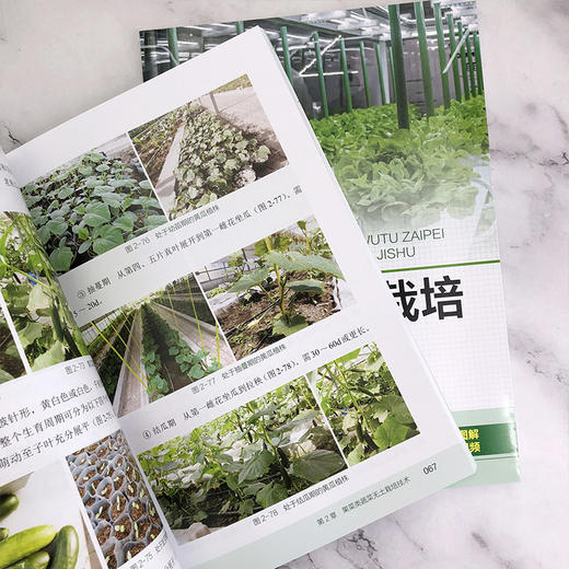 图说蔬菜无土栽培关键技术 商品图4