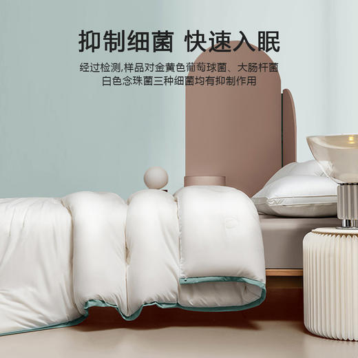 A类大豆纤维被子冬被加厚保暖棉被芯单人宿舍学生德绒春秋空调被 商品图3