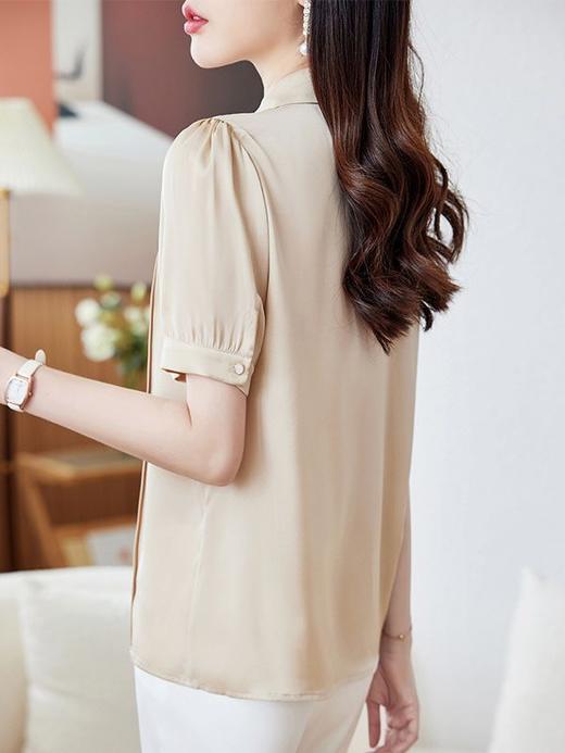 真丝衬衫夏新气质翻领单排扣修身显瘦桑蚕丝上衣HR-WL61829 商品图4