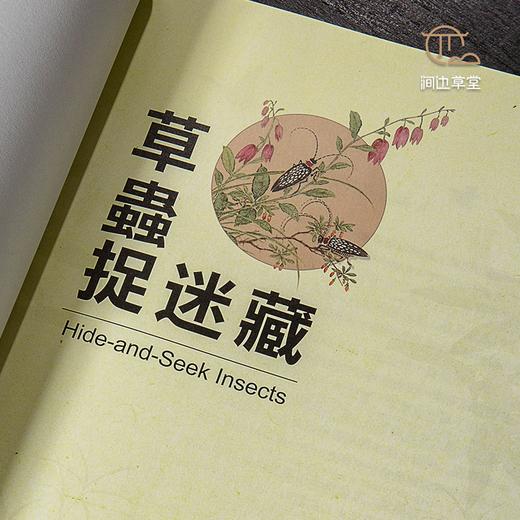 【绝版好书】草蟲捉迷藏 商品图2