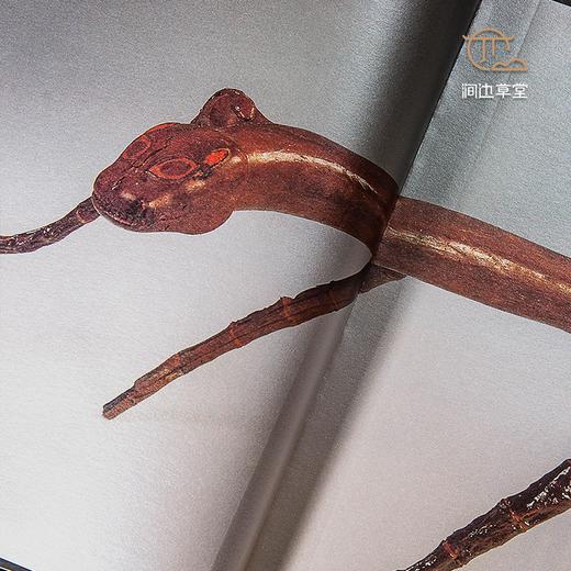 【绝版好书】《屈原的故乡-楚文化特展》大16开231页，2001年国立历史博物馆初版 商品图3