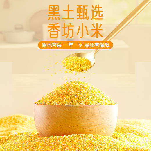 【礼盒】溢田香坊小米礼盒320g*10 商品图2