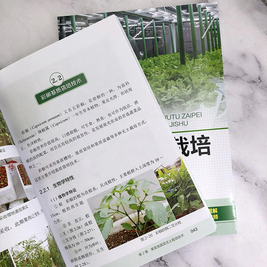 图说蔬菜无土栽培关键技术 商品图6