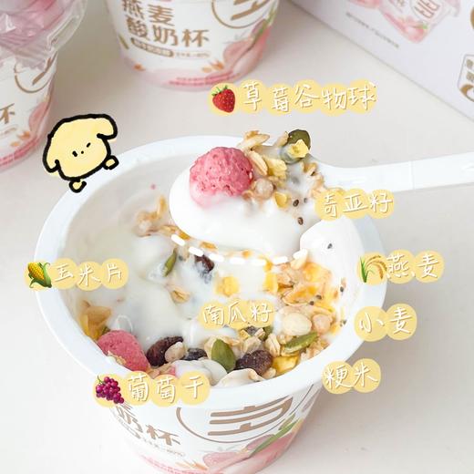 生牛乳含量≥80%【好麦多燕麦酸奶杯】一箱6杯，牧场直送奶源，够饱腹、够轻卡，满口浓郁自然的奶香！ 商品图1