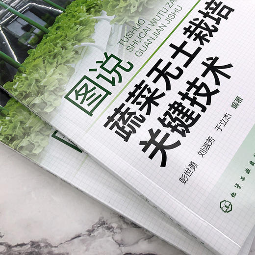 图说蔬菜无土栽培关键技术 商品图2