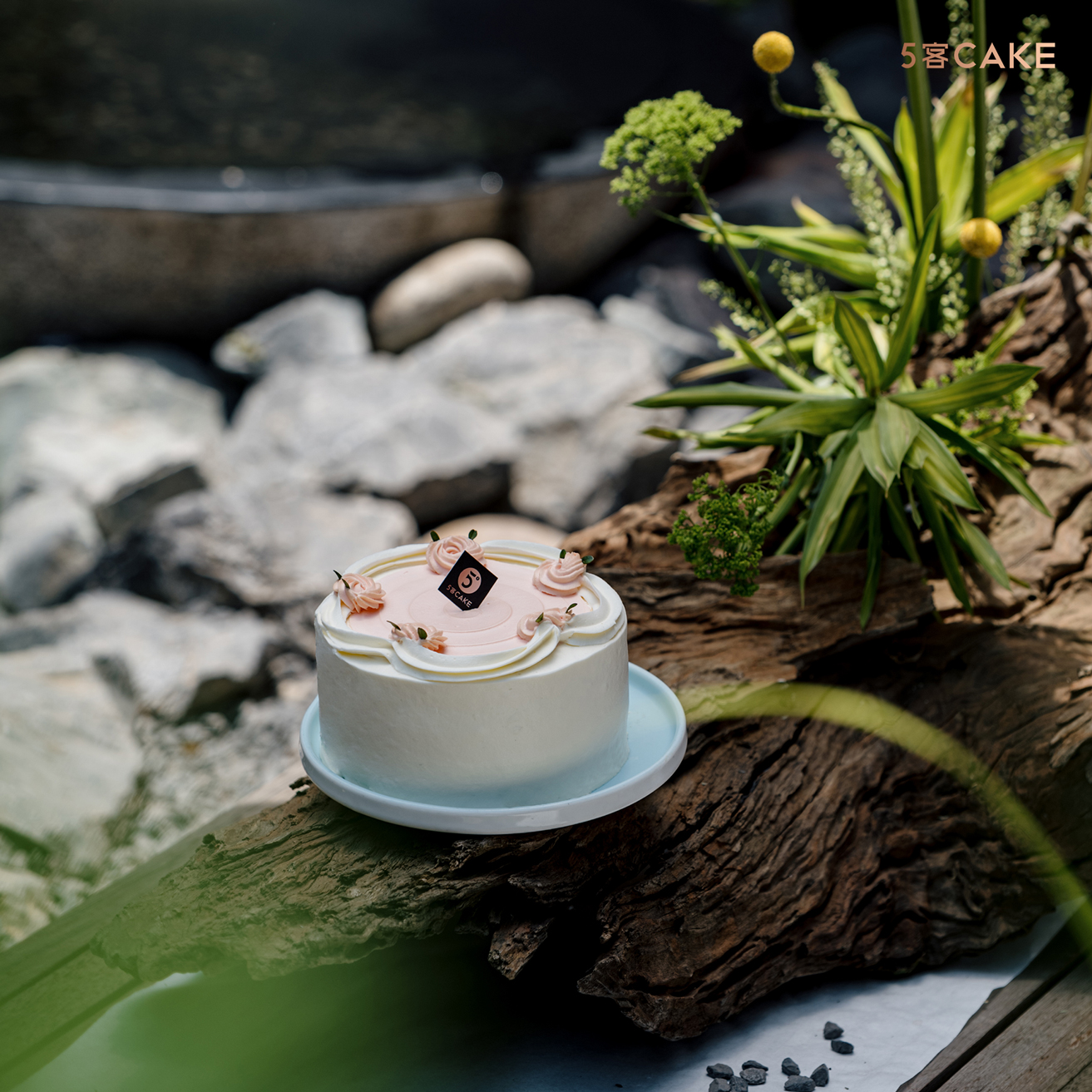 【绯色风华】杨枝甘露风味