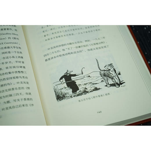 【签名版】南国红豆最相思 李广宇著   2023年6月新书 商品图11