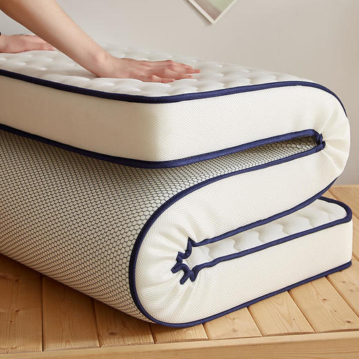 学生宿舍床垫软垫儿童冬季家用单人床褥子垫被加厚90x190cm榻榻米 商品图4