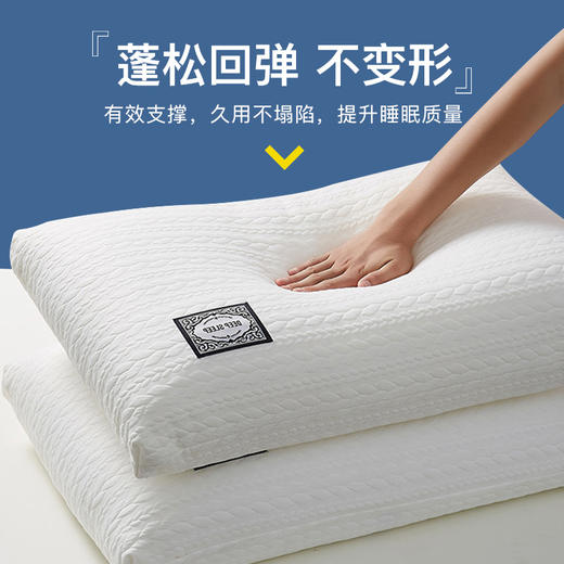 护颈椎助睡眠枕头整头枕芯家用一对装6儿童3小学生宿舍专用决明子 商品图1