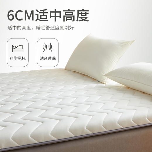 床垫软垫家用租房专用宿舍学生单人1米5硬垫被褥子铺底加厚一米五 商品图4