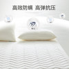 床垫软垫家用租房专用宿舍学生单人1米5硬垫被褥子铺底加厚一米五 商品缩略图2