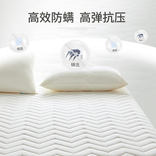 床垫软垫家用租房专用宿舍学生单人1米5硬垫被褥子铺底加厚一米五 商品图2