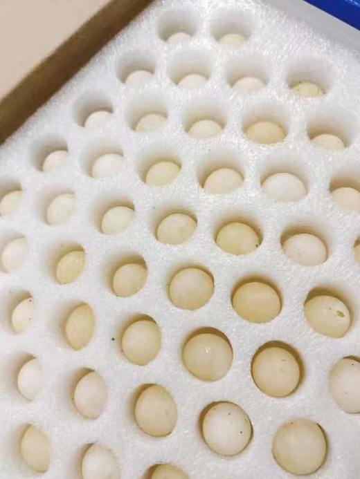 甲鱼蛋一箱 商品图2