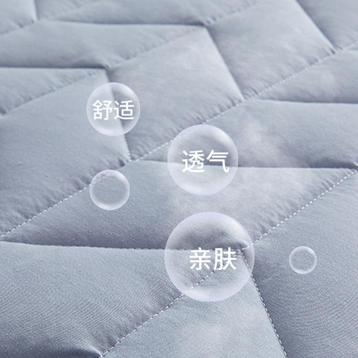 床垫软垫床褥垫褥子铺床双人家用保护垫薄款垫褥防滑学生宿舍垫被 商品图4