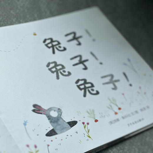 兔子!兔子!兔子!  商品图2