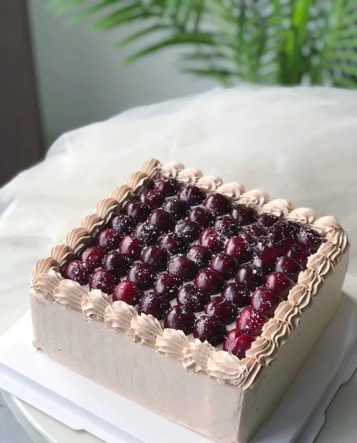 车厘子蛋糕A-6 商品图0