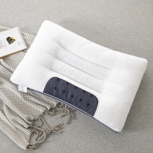 决明子枕头单人双人助睡眠护颈椎枕学生枕芯家用一对装 商品图2