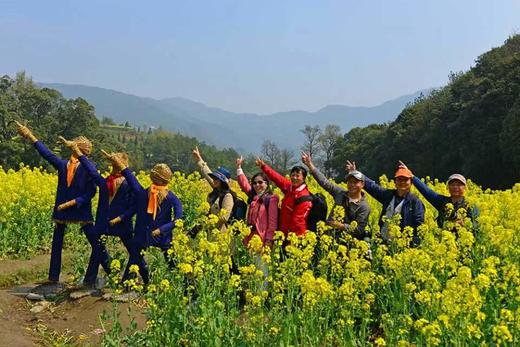 安徽皖南春色：黄山屯溪、昌溪、坡山、石潭、木梨硔、南屏、呈村、卢村、新安江油菜花6天 商品图2