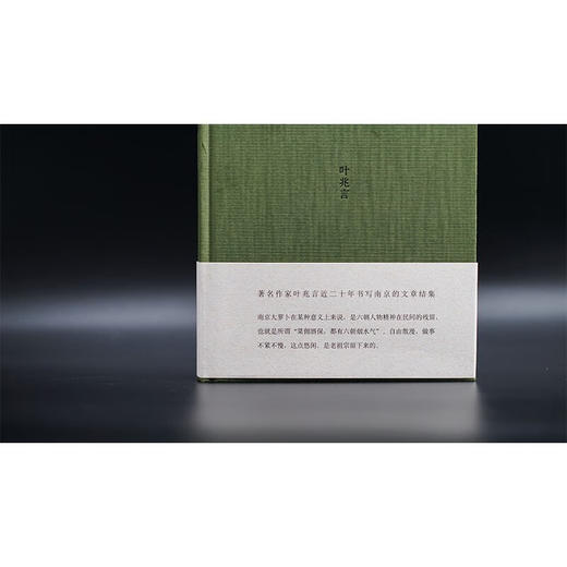 南京人 叶兆言 著 文学 商品图1