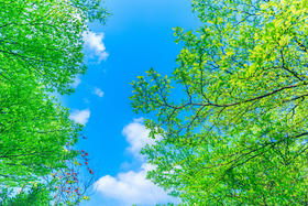 夏至已至，这些应时节的养生食材要牢记！