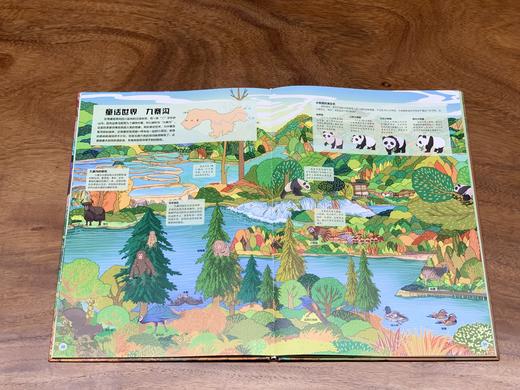 中国国家地理（全2册）漫画版 商品图7