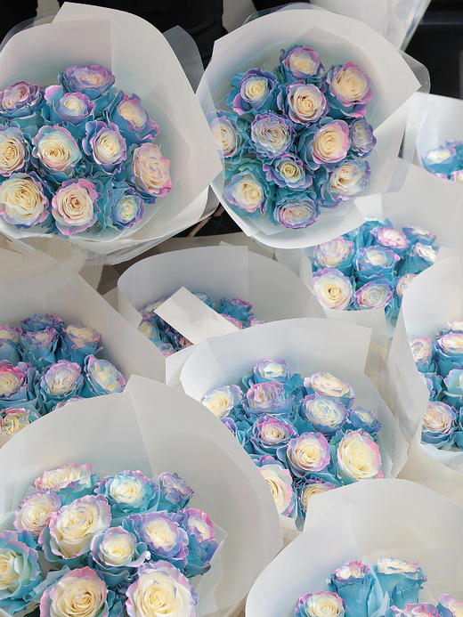 【周四秒杀】厄瓜多尔进口北极光玫瑰1枝49.8元 商品图0