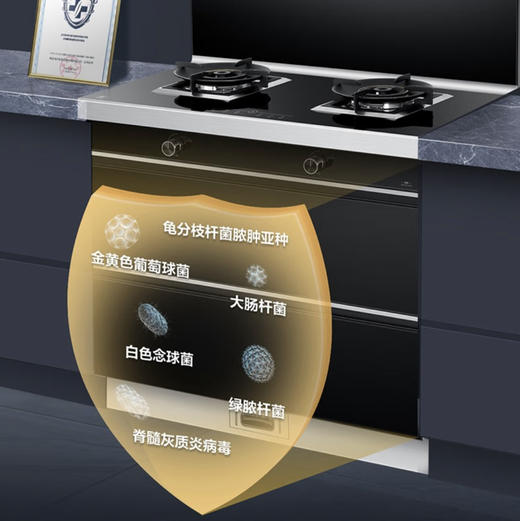 海尔（Haier）集成灶 JJZT-90EG-Q3X(12T) 商品图9