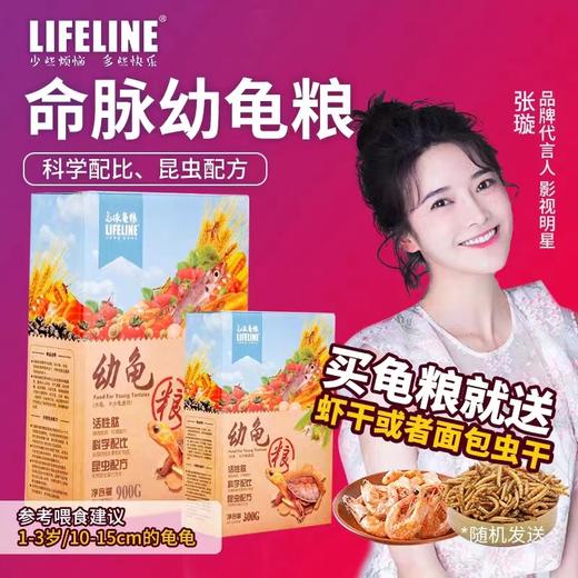 【基础粮上浮】经典系列40%高蛋白基础成长型1-3岁幼龟 商品图0