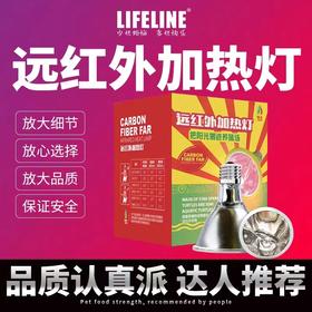 远红外加热灯
