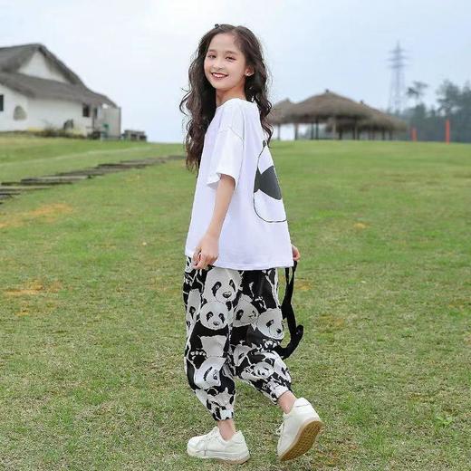女童夏装半袖套装新款短袖防蚊长裤儿童女孩中大童运动休闲两件套 商品图3