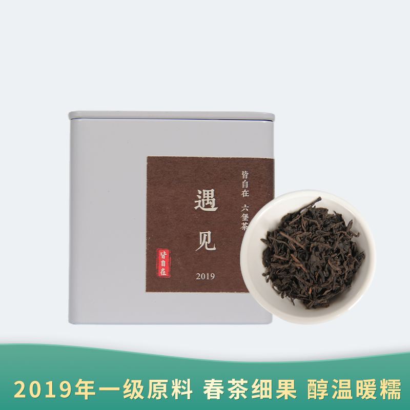 【会员日直播 】遇见 2019年广西六堡茶 皆自在 100g/盒 买一送一