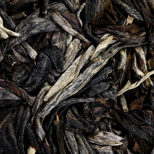 【茶祖锦绣】2023年茶祖周边片区资源与茶祖同根同源蕞接近茶祖的口感滋味千年以上古树纯料拍5发6拍10发12 商品图1