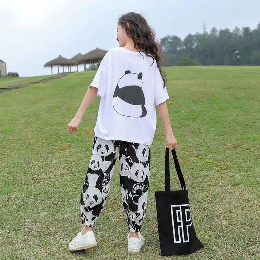 女童夏装半袖套装新款短袖防蚊长裤儿童女孩中大童运动休闲两件套 商品图2