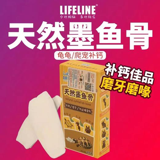 墨鱼骨：补钙，磨喙 商品图0
