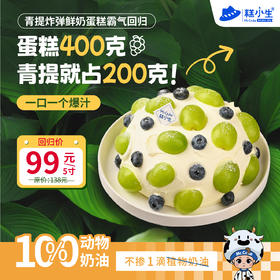 糕小生『青提炸弹鲜奶蛋糕』糕小生夏季系列，青提炸弹鲜奶蛋糕，一口一个爆汁