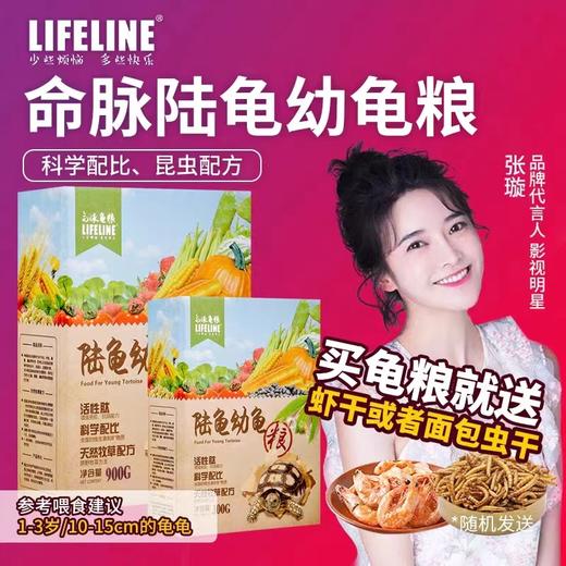 陆龟幼龟粮经典系列 商品图0